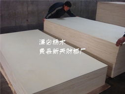 花紋楊木、膠合板、貼面板與櫥柜板 建筑裝飾材料的核心供應商解析